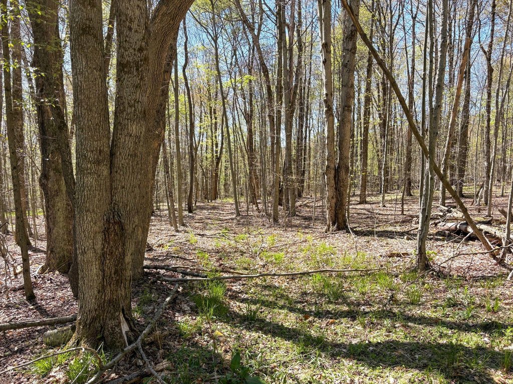 Picture 19