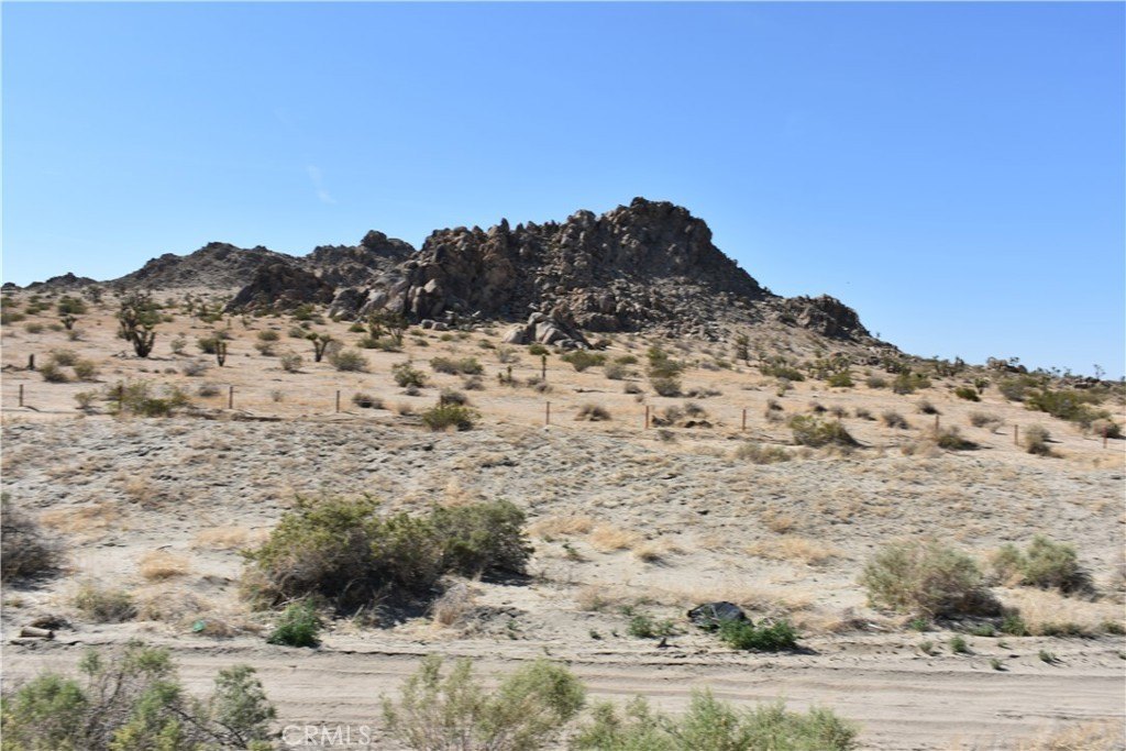 Picture 2