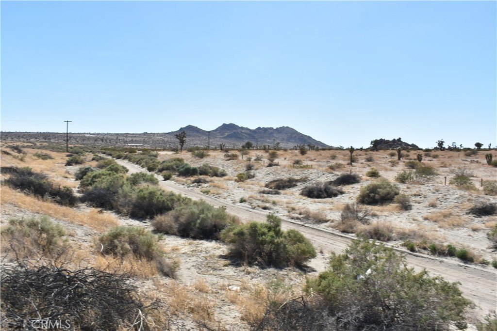Picture 6