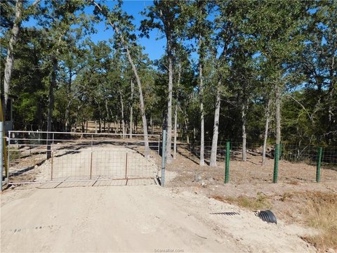 Land Near Lake Somerville, TX