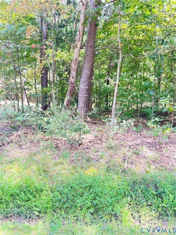 Wooded Land Near I-95
