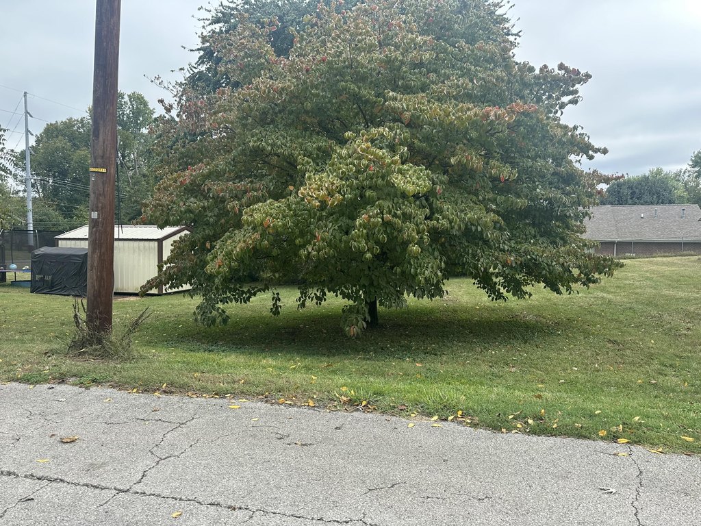 Picture 3