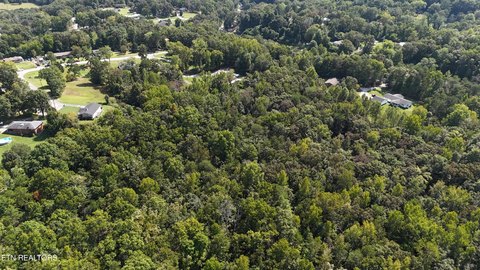Lots & Acreage, Rockwood, TN