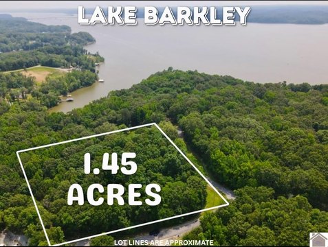 Wooded Corner Building Lot