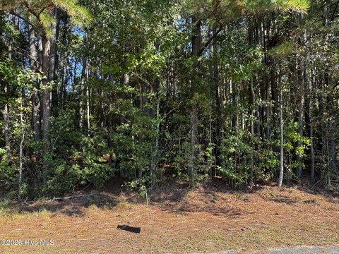 Land, Clinton, NC