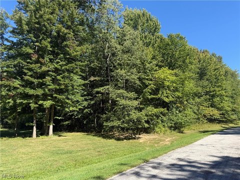 Land, Painesville, OH