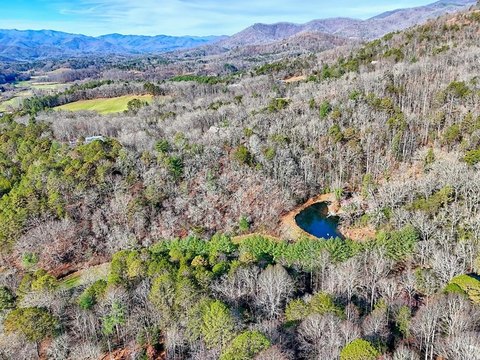 Wooded Mountain Homesite Land