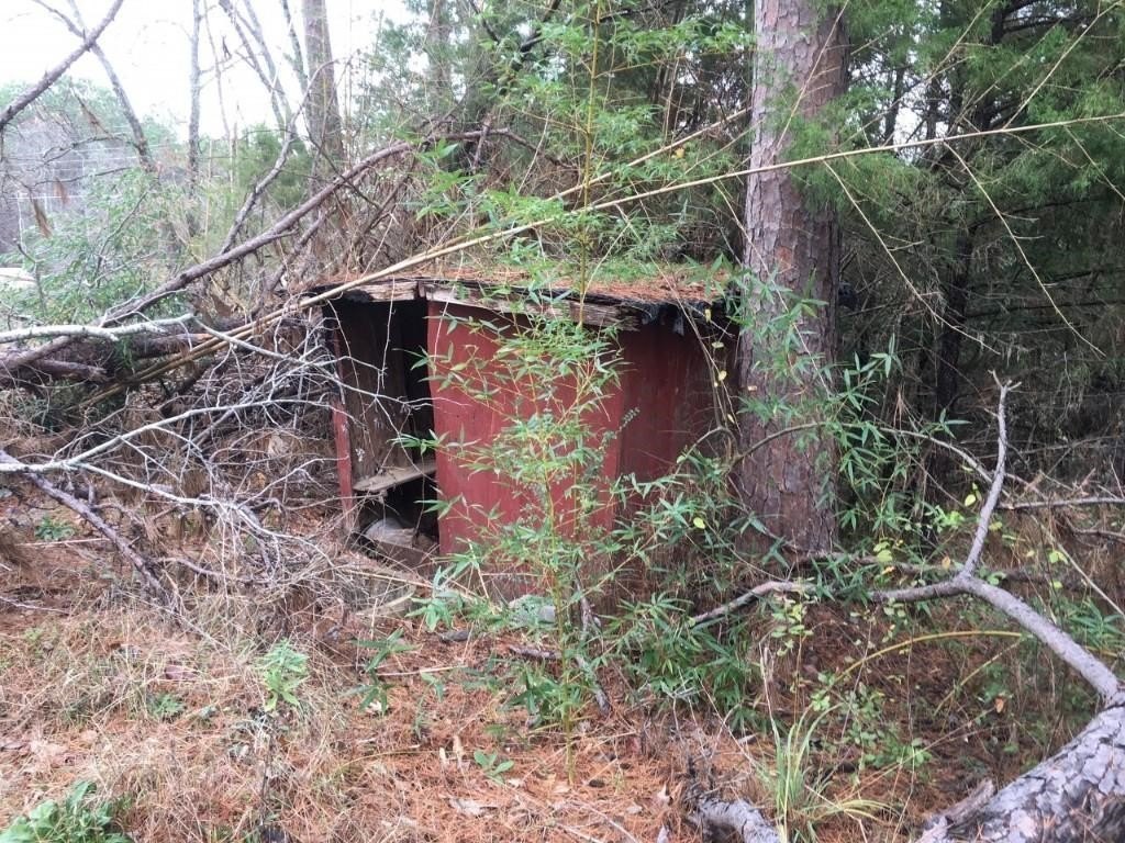 Picture 5