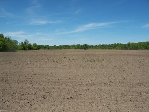 Commercial Land Parcel with Utilities