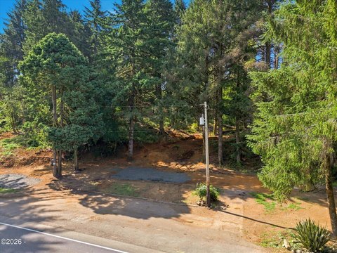Forested Land Parcel in Otis