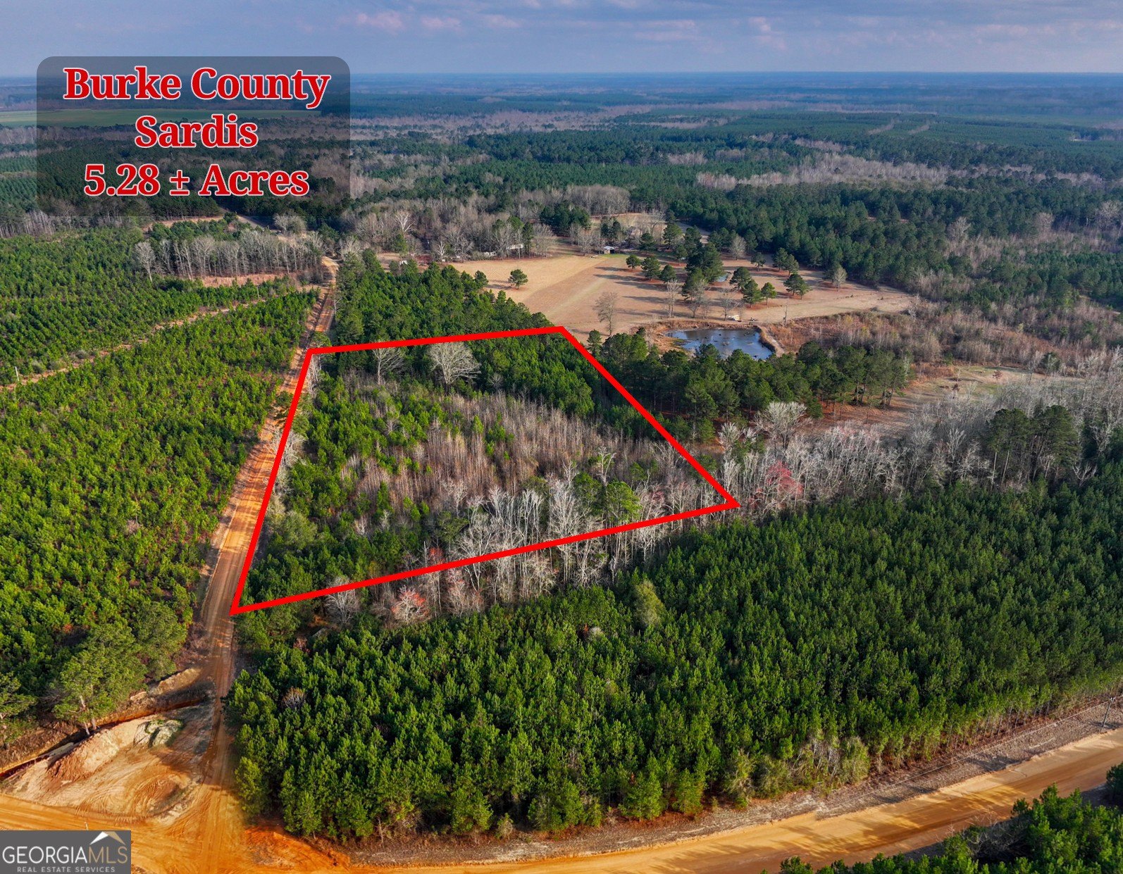 Land in Sardis, Georgia
