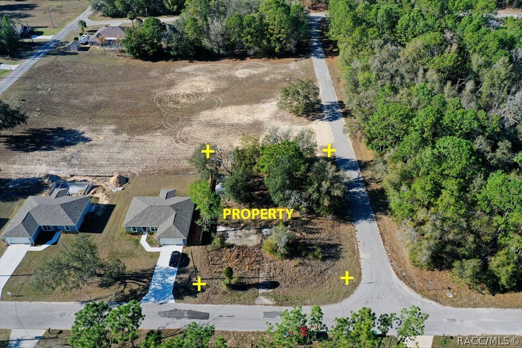 Citrus Springs Cleared Building Lot