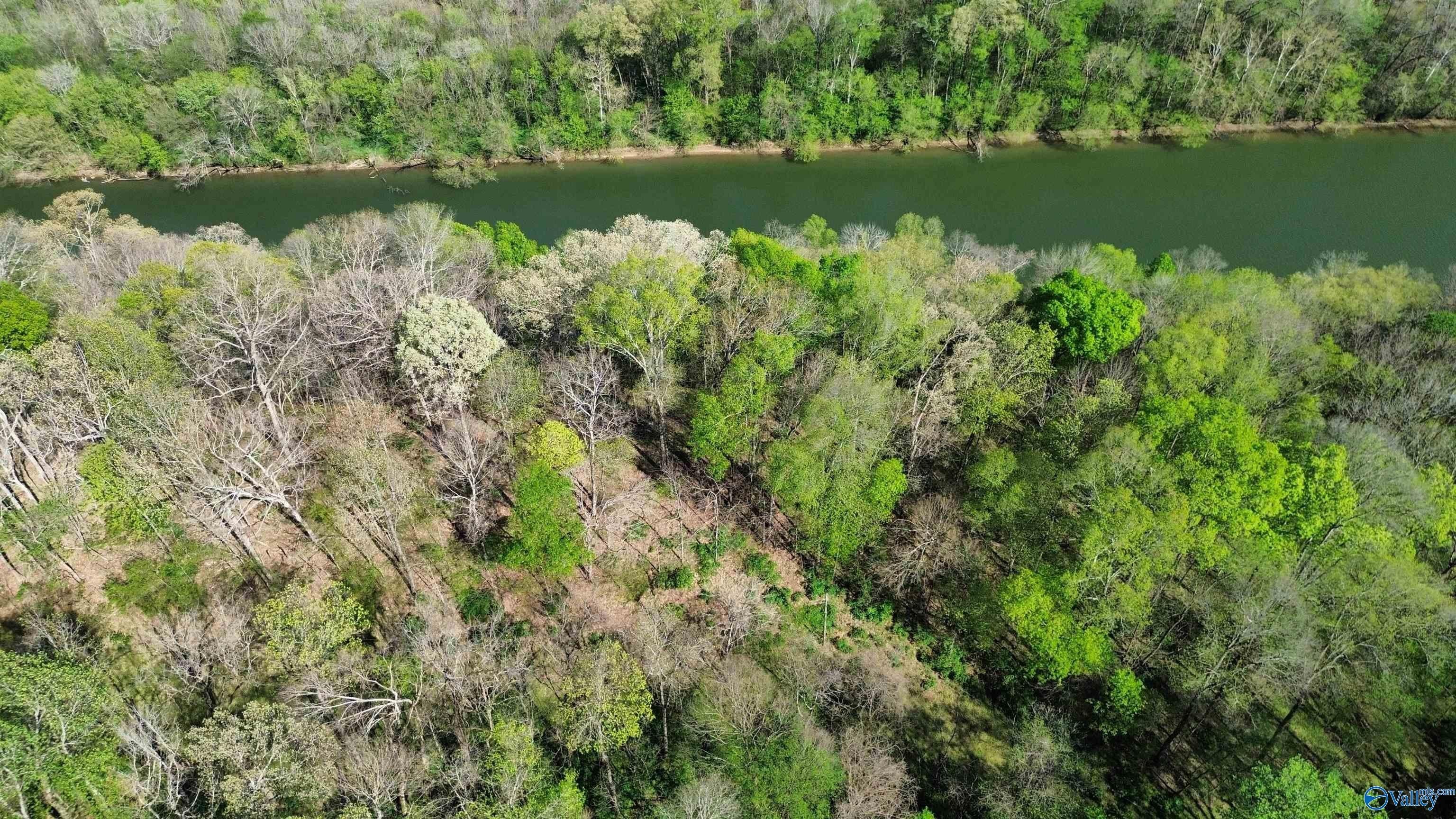 Residential Lot in Elkmont, AL