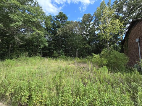 LAND - Hattiesburg, MS