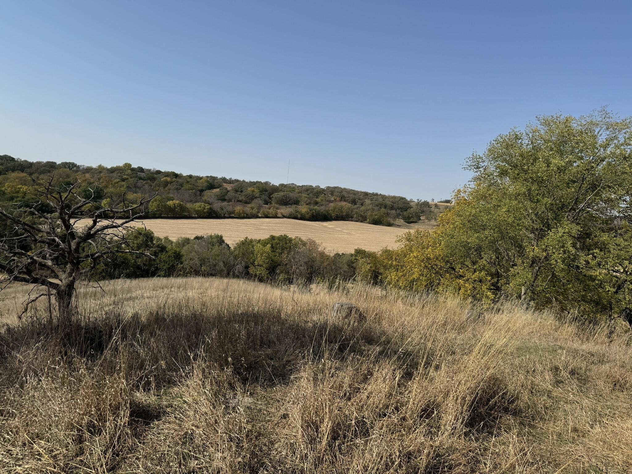 97 Acres of Prime Land