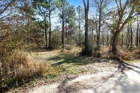 Unrestricted Lot Near Dauphin Island