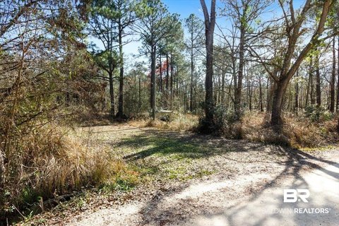 Unrestricted Recreational Land Lot