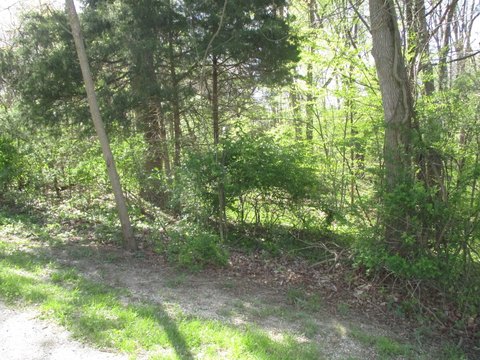 LAND - Crawfordsville, IN