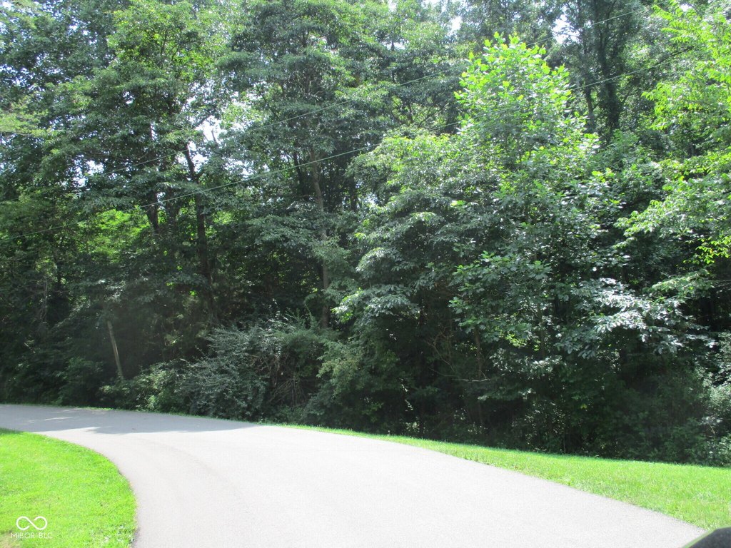 Picture 2