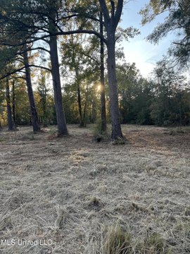 Hattiesburg Land Near USM Campus