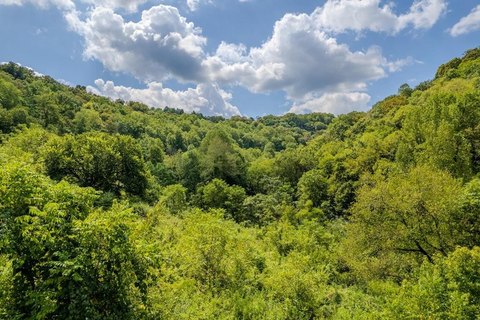 53 Acres of Tennessee Countryside