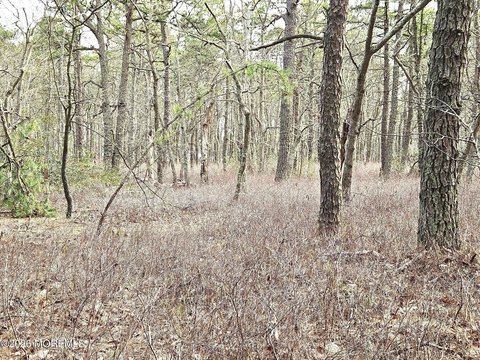 LAND - Tuckerton, NJ