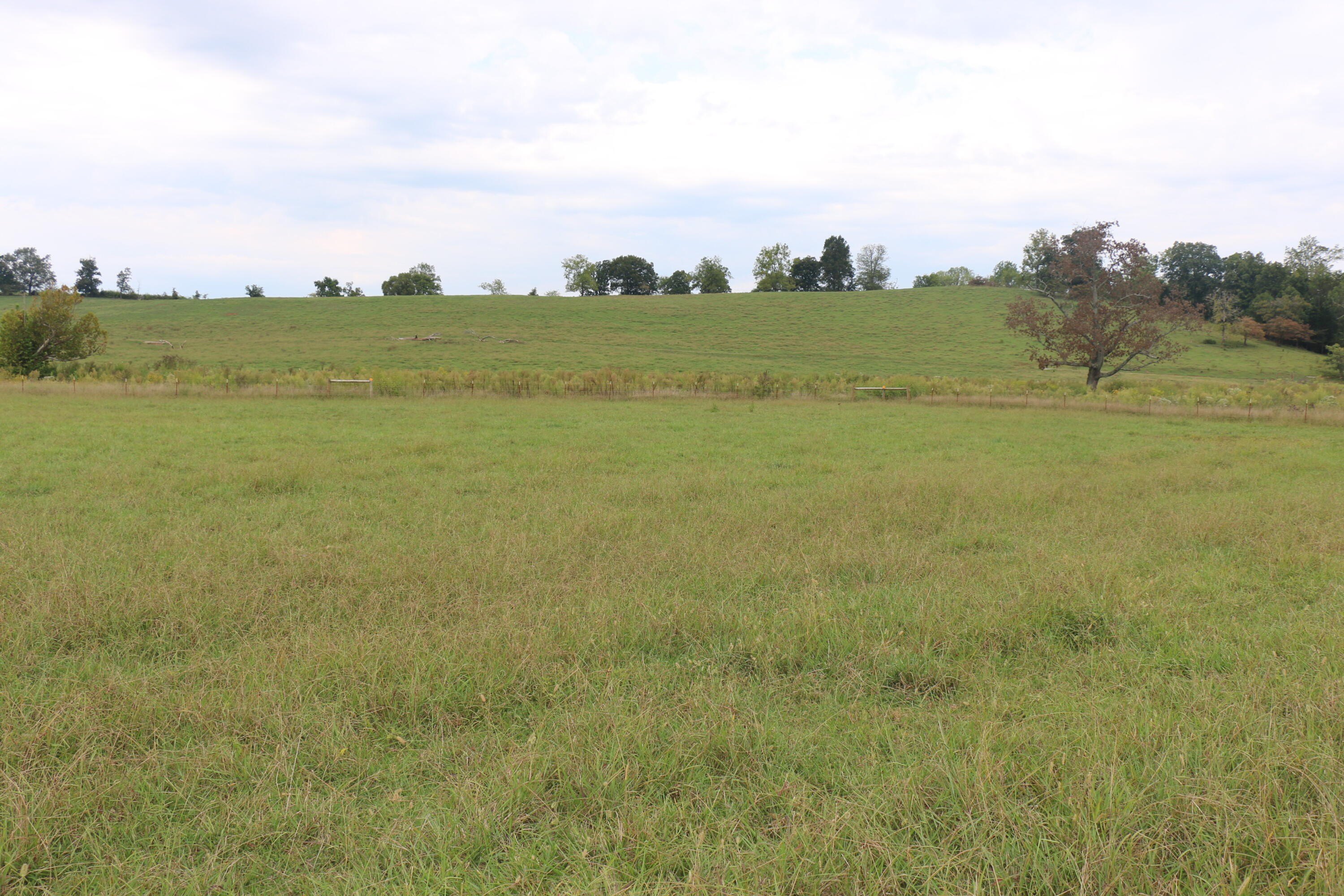 Englewood, TN Level Building Lot