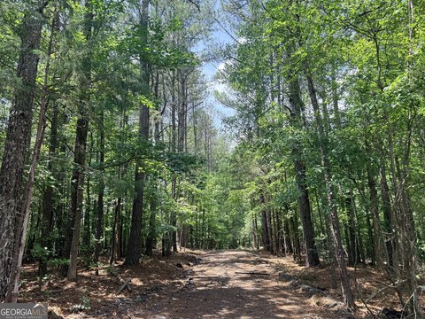 Residential Lot in Snellville, GA