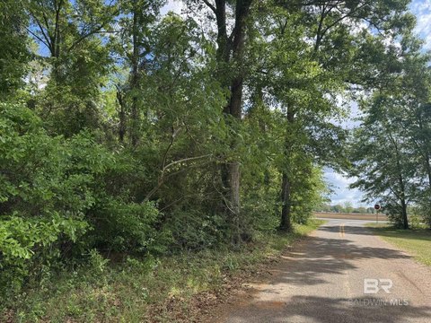 Wooded Residential Land Parcel
