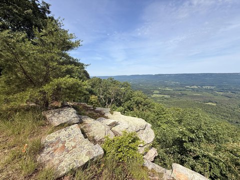 Menlo, GA Wooded Lot