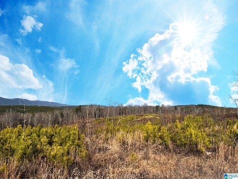 Recreational Hunting Land with Internal Roads