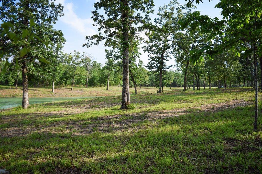Picture 39