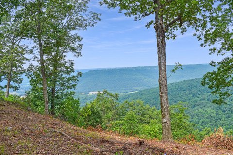 Jasper Highlands Bluff Lot