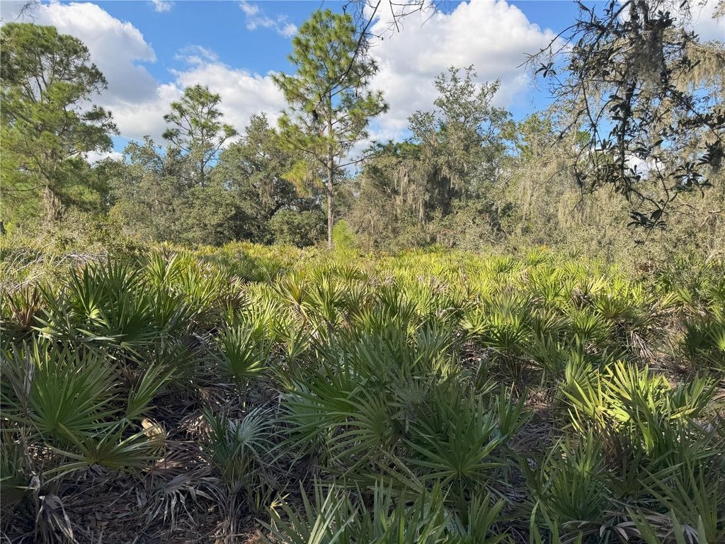 Picture 19