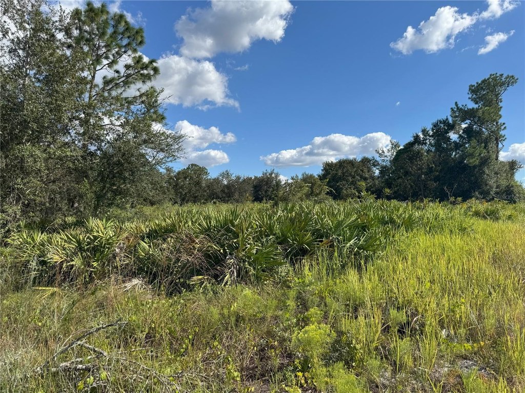 Picture 20