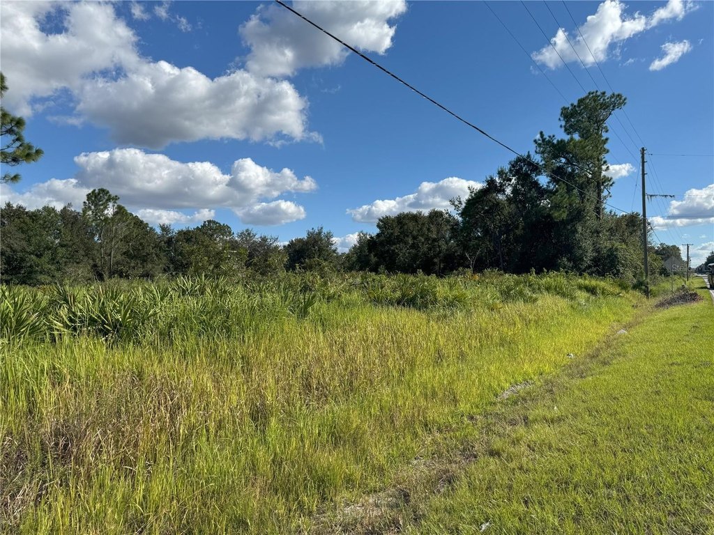 Picture 21