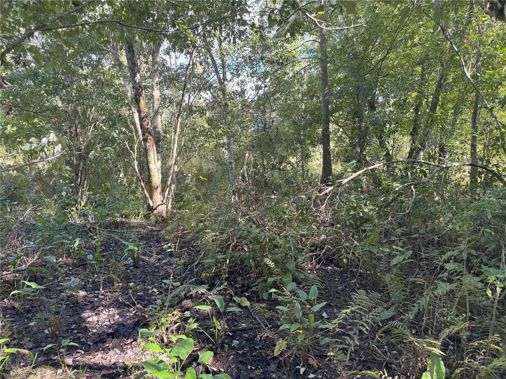 Picture 17