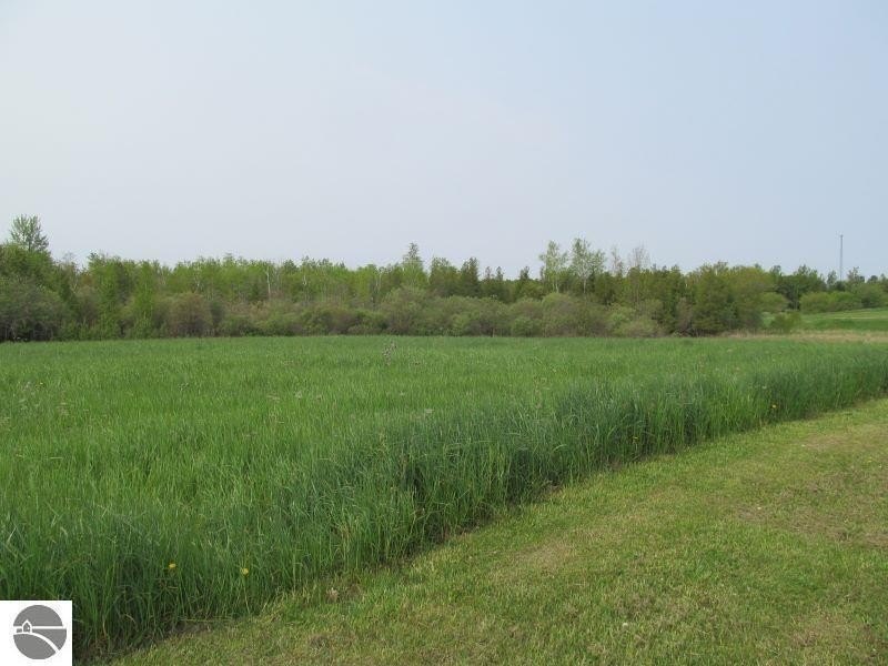 Picture 13