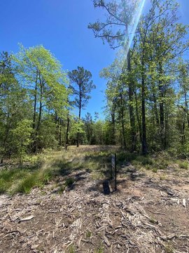 Unrestricted Land Near Lake Sam