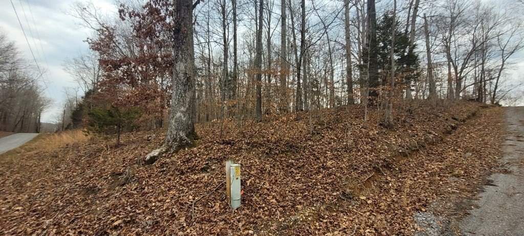 Picture 6