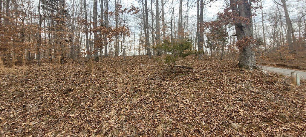 Picture 3