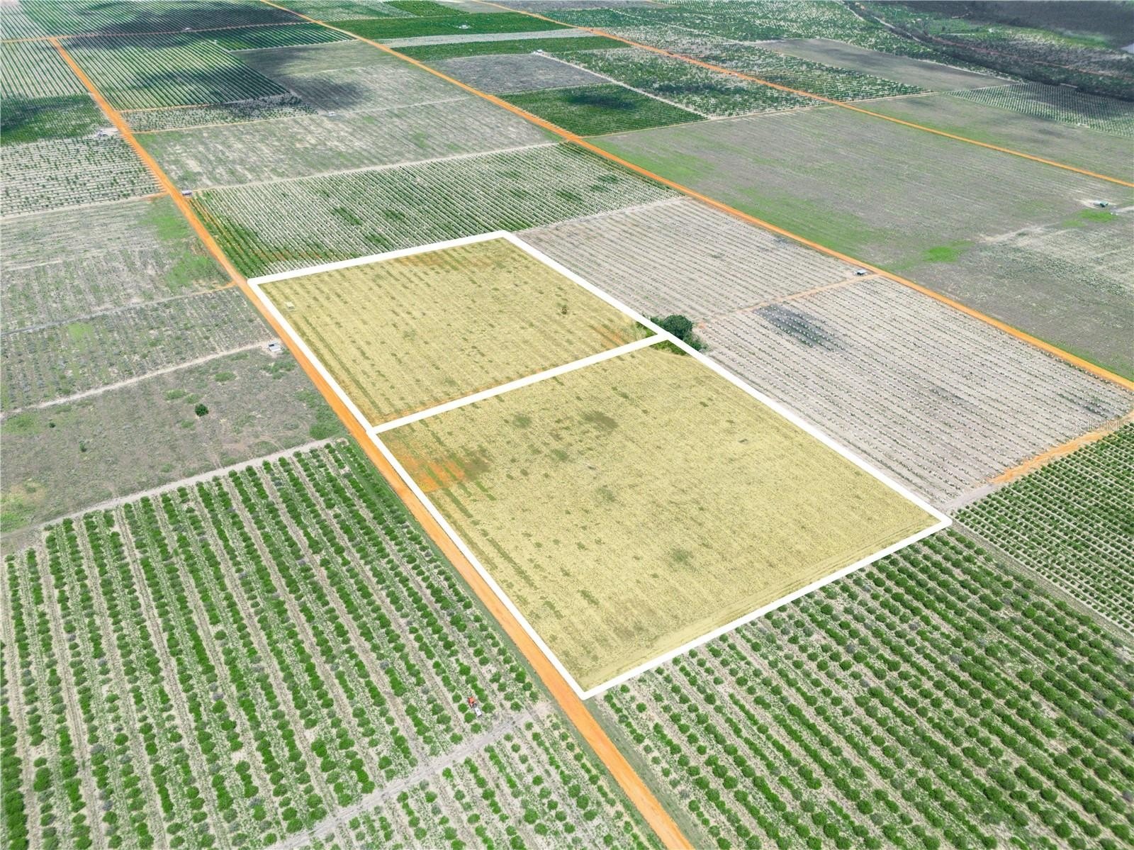 20 Acres +/- in Frostproof