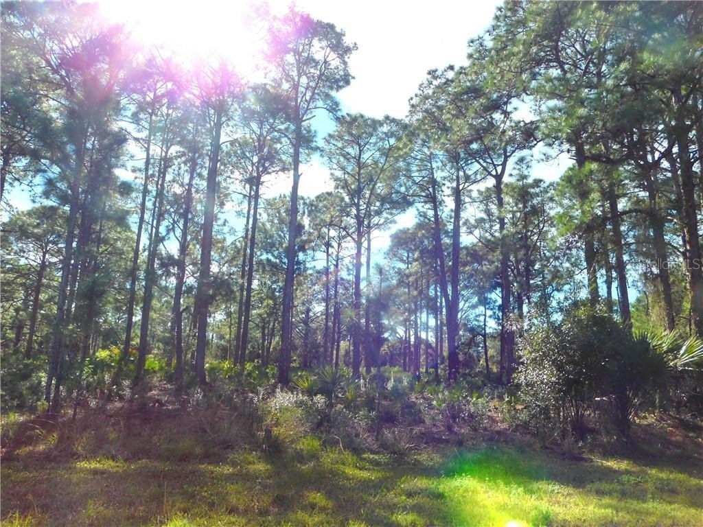 Picture 9