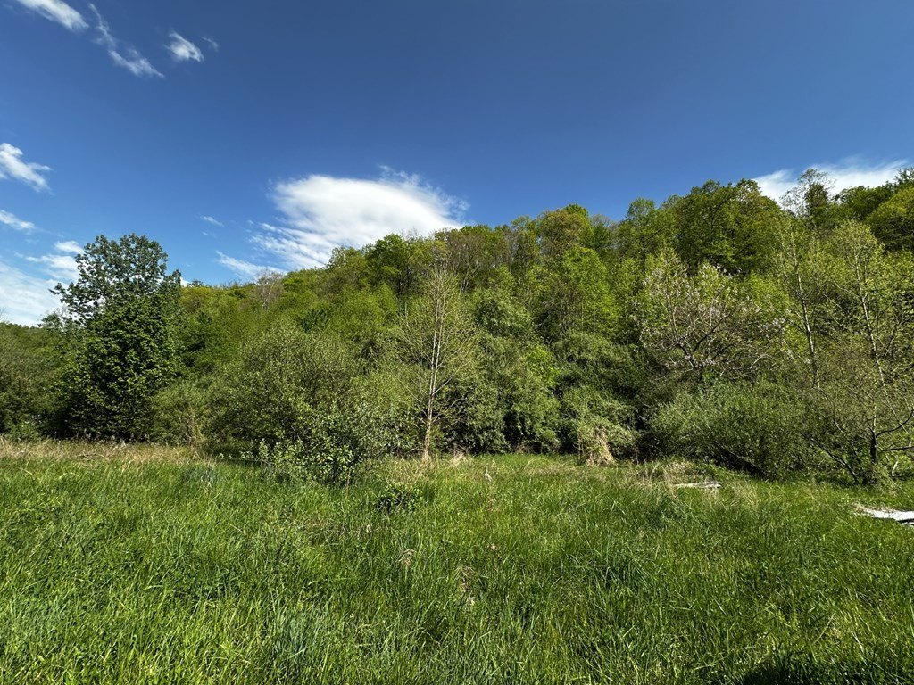 Picture 8