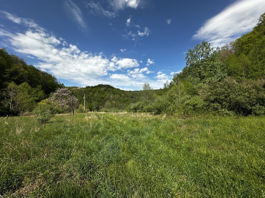 Picture 7