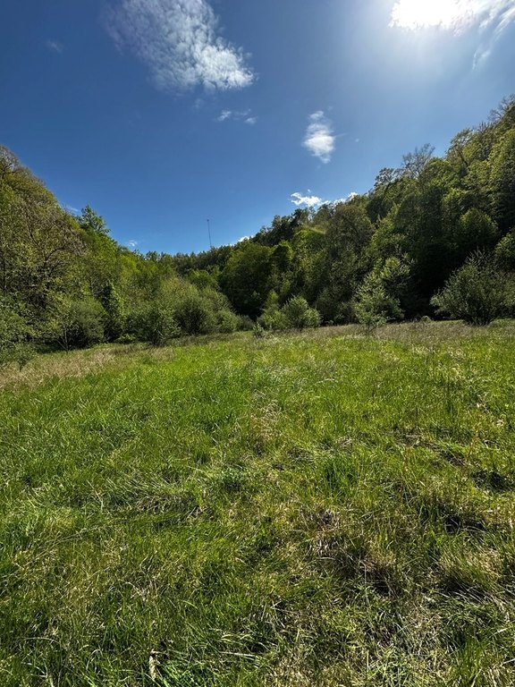 Picture 10
