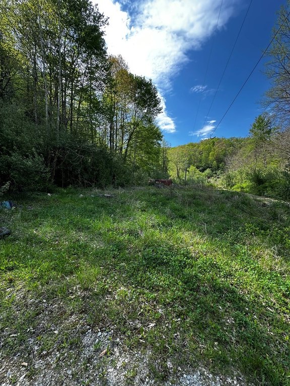 Picture 4