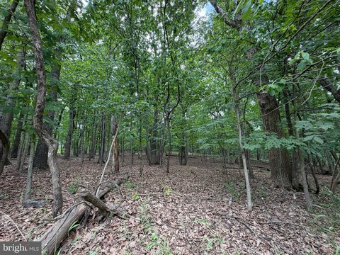 GORE, VA Wooded Land Parcel