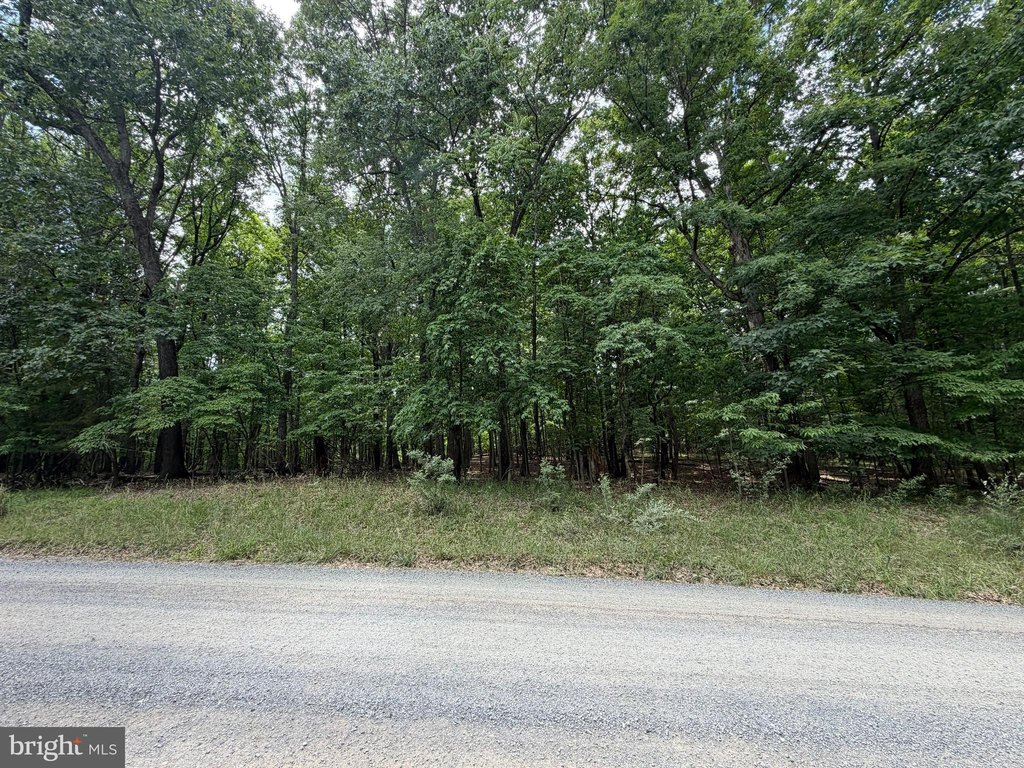 Picture 2