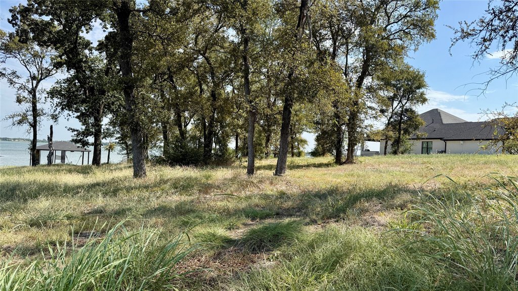 Picture 31